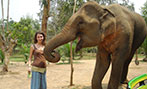 Laos